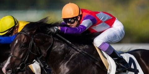 【阪神12R】武豊エクレアスピードが大混戦のゴール前を制する