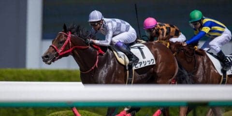 【阪神6R】武豊ピアシックが全馬直線ごぼう抜きの差し切り！