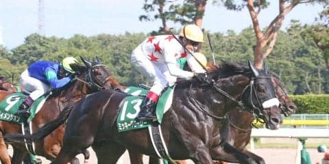 ミッキーグローリー号が競走馬登録抹消