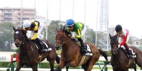 【白井特別】サトノダムゼルがデビューから3戦3勝