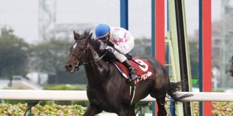 【セントライト記念】リオンリオンが先行抜け出しで快勝！横山典騎手が勝利に導く