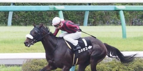 【Ｍエルコンドルパサー】アカネサスが3勝目！人気に応える