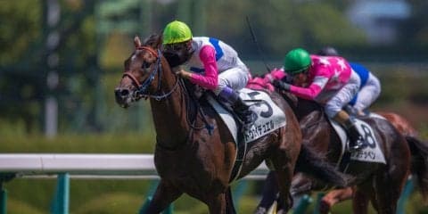 【阪神3R】武豊トウカイデュエルがゴール寸前の差し切り！