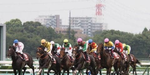 【セントライト記念】ルメール「ラストは疲れた」レース後ジョッキーコメント