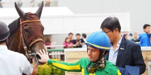 【白井特別】Mデムーロ「凄い馬」サトノダムゼルが3戦3勝を決める