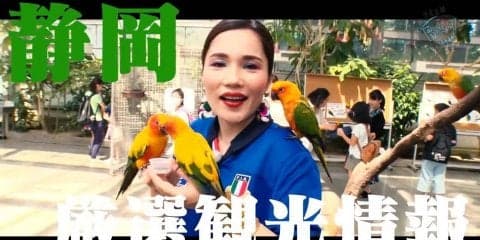 【Vol.2 静岡編】観戦だけじゃもったいない！ラグビーワールドカップ2019日本大会 全12スタジアム！グルメ＆観光ガイド