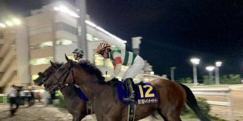 【日本テレビ盃】JRA出走予定馬