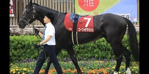 オールカマーは過去の激走条件を満たす３頭が、人気３頭をビビらせる