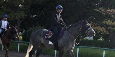 【オールカマー】ウインブライト 大得意の中山で主役