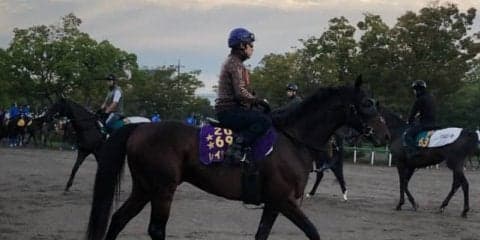 【オールカマー】レイデオロ 新パートナー福永で復活を期す