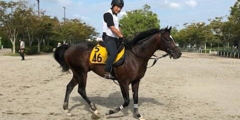 【オールカマー】クレッシェンドラヴ G2でも侮れない