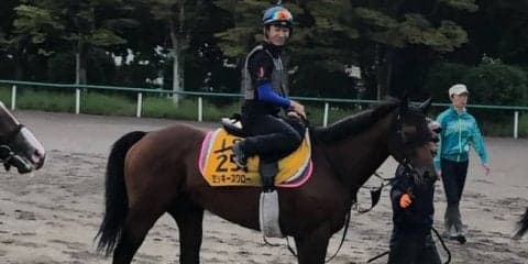 【オールカマー】ミッキースワロー 親子コンビで再びタイトル狙う