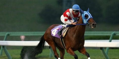 【盛岡・ヴィーナススプリント】ペキノワが３馬身差で完勝！1番人気ツララを競り落とし転入初戦を白星発進