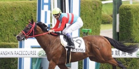 【新馬/阪神3R】武豊 タマモツワモノがデビューV！