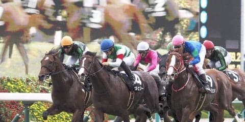 【西宮S】ジェシーが人気に応えて差し切り！