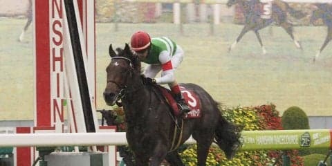 【神戸新聞杯】サートゥルナーリア出走も売上入場者数共にダウン