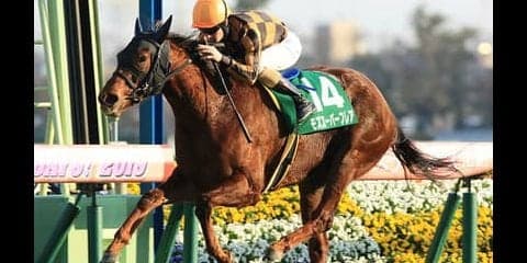 コース適正も血統も抜群。スプリンターズＳは牝馬２頭で決まり