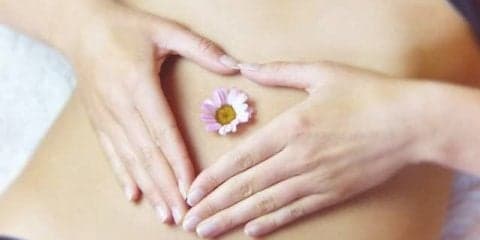 健康な腸になるためのオススメの食品とは？