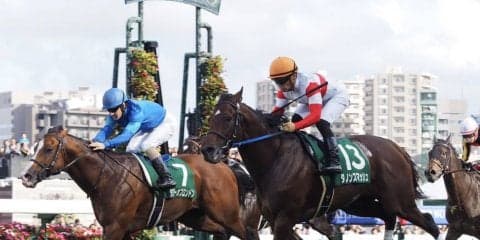 【スプリンターズS】出走馬の調教後の馬体重