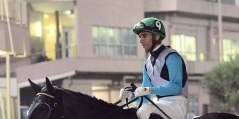 【レディスプレリュード】JRA出走予定馬