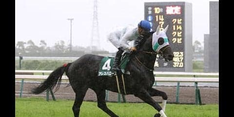 スプリンターズＳは今年も荒れる。穴党記者が推す自信の「穴馬４頭」