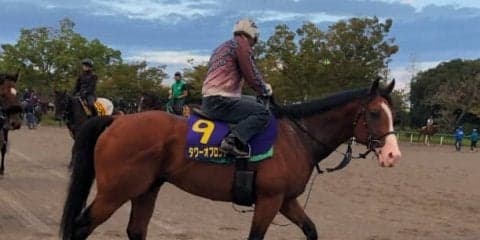 【スプリンターズS】タワーオブロンドン 藤沢和師「差はない」