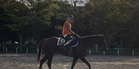 【スプリンターズS】セイウンコウセイ 上原師「昨年よりもいいコンディション」