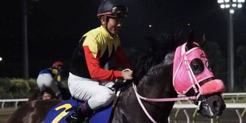 アポロケンタッキー号が競走馬登録抹消
