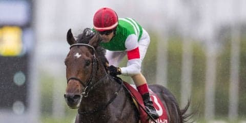 サートゥルナーリア×スミヨン！秋天で新コンビ