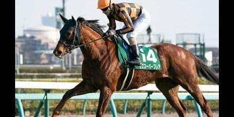 スプリンターズＳで「２強」を脅かすのは、馬場を味方にできる快速馬