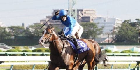 【スプリンターズS】タワーオブロンドンが直線一気の差し切り！