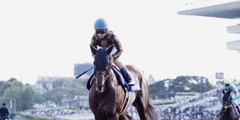 【スプリンターズS】松若「悔いはありません」モズスーパーフレアは惜しい2着