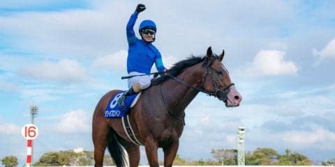 【スプリンターズS】入場人員大幅アップ！タワーオブロンドンがG1初制覇