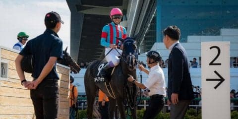 【サフラン賞】武豊「身のこなしが柔らかい」マルターズディオサがV！