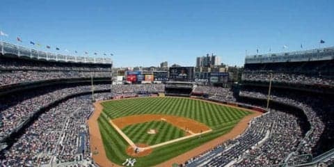 日米の全球場で観戦したカナダ人男性、NPBが最高と断言「比較できるものは皆無」