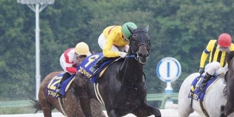 【東京盃】枠順と見どころ 菜七子コパノキッキングは2枠2番