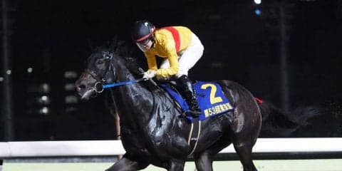 【東京盃】藤田菜七子がJRA女性騎手初の重賞制覇達成！