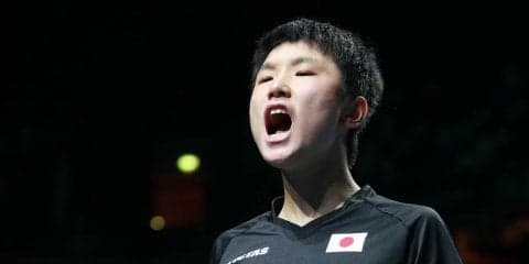 東京開催の卓球・チームW杯　日本は張本、伊藤ら男女9選手が登録