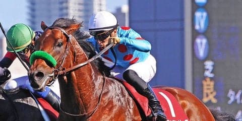 2019凱旋門賞（G1）日本馬の近況（10月2日）