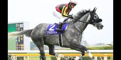 毎日王冠の狙いは２頭が中心。逃げる「紅一点」馬か追う３歳有力馬だ