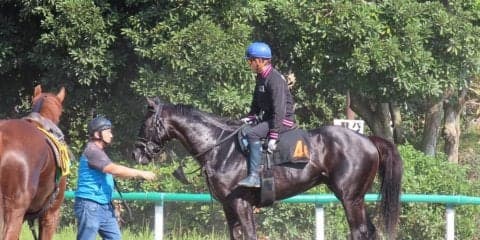 【サウジアラビアRC】アブソルティスモ  藤沢和師「絞れてきた」