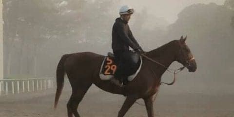 【サウジアラビアRC】サリオス スケールの大きい走りで2連勝狙う