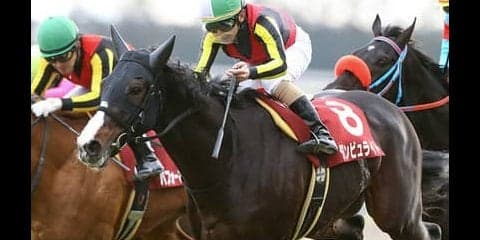 京都大賞典は例年の傾向から一変。好位から粘り込める３頭が狙い目だ