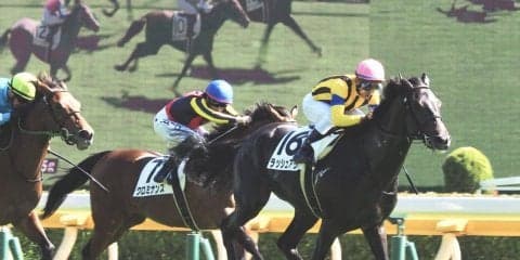 【新馬/東京5R】ラッシュアップがデビューV！圧倒的人気のクロミナンスは3着