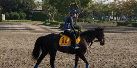 【京都大賞典】グローリーヴェイズ  尾関師「馬は完成期」