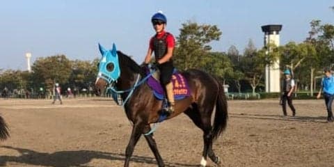 【六社S】オジュウチョウサンが久々の平地競馬に登場！