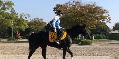 【毎日王冠】ダノンキングリー 戸崎「この秋は大きなタイトルを」