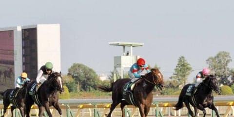 【サウジアラビアRC】前年比売り上げ 人員ともにアップ