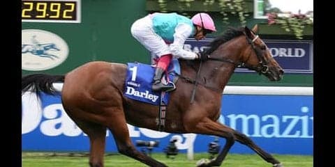 エネイブルの凱旋門賞３連覇はアリ。武豊の騎乗馬などその他注目は？