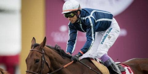 武豊騎手のフランスにおける騎乗成績（10月5日）